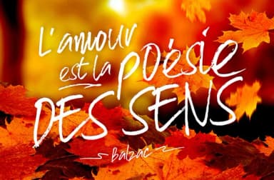 Skyfall Font by Mild Studio — Script Handwritten Font — thumbnail 2