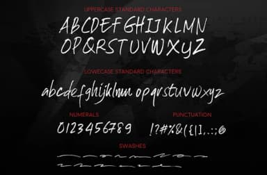 Skyfall Font by Mild Studio — Script Handwritten Font — thumbnail 3