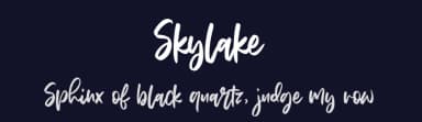 Skylake by Balpirick Studio — Script Handwritten Font — thumbnail 2