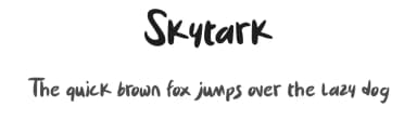 Skytark by Sentype — Script Handwritten Font — thumbnail 1
