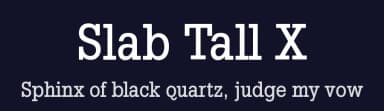 Slab Tall X by Manfred Klein — Serif Font — thumbnail 2