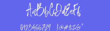 Slabor Brush by Thirtypath — Script Handwritten Font — thumbnail 3