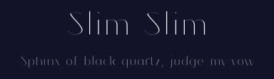 Slim Slim by Matěj Hofman — Sans Serif Font — thumbnail 2
