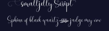 Smalljelly Script by VinType — Script Handwritten Font — thumbnail 2
