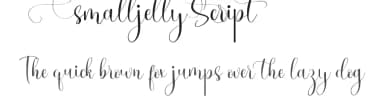 Smalljelly Script by VinType — Script Handwritten Font — thumbnail 1