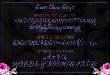 Smart Cherie Duo Font by pandanwangi — Script Handwritten Font — thumbnail 7