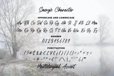 Smergie Font by Blankids Studio — Script Handwritten Font — thumbnail 4