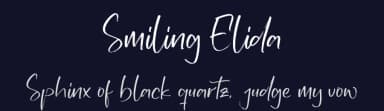 Smiling Elida by Perspectype Studio - Letterena.com — Script Handwritten Font — thumbnail 2