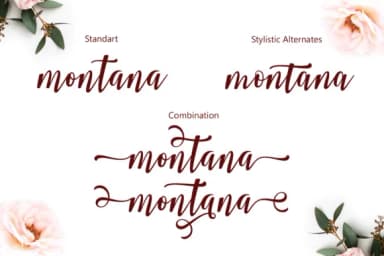 Smonthia Script Font by JhoelDesign — Script Handwritten Font — thumbnail 4