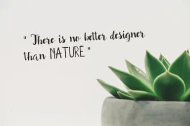 Smoothies Font by Studio_Art — Script Handwritten Font — thumbnail 4