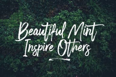 Smoothread Font by Dhan Studio — Script Handwritten Font — thumbnail 6