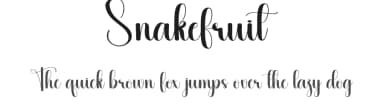 Snakefruit by Scratchones — Script Handwritten Font — thumbnail 1