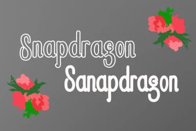 Snapdragon Font by JoeeCreative — Script Handwritten Font — thumbnail 2