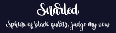 Snarled by Bearytype — Script Handwritten Font — thumbnail 2