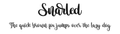 Snarled by Bearytype — Script Handwritten Font — thumbnail 1