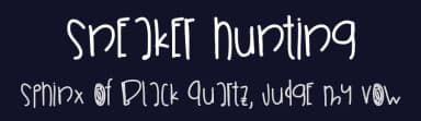Sneaker Hunting by Des Gomez — Script Handwritten Font — thumbnail 2