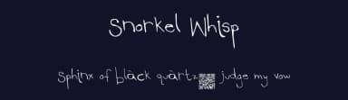 Snorkel Whisp by Xerographer Fonts — Script Handwritten Font — thumbnail 2