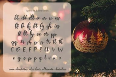 Snow Globe Font by Jennifer Creations — Script Handwritten Font — thumbnail 5