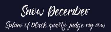 Snow December by Vztype Studio — Script Handwritten Font — thumbnail 2