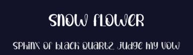 Snow Flower by Andi Moz — Script Handwritten Font — thumbnail 2