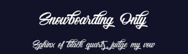 Snowboarding Only by Octotype  | Thomas Boucherie — Script Handwritten Font — thumbnail 2
