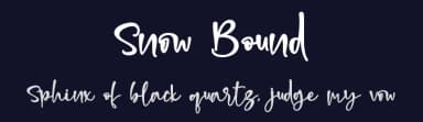 Snow Bound by Letterara — Script Handwritten Font — thumbnail 2