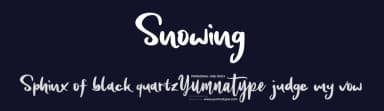 Snowing by Yumna Family — Script Handwritten Font — thumbnail 2