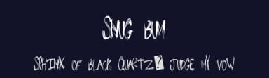 Snug Bum by Xerographer Fonts — Script Handwritten Font — thumbnail 2