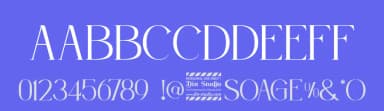 Soage by Din Studio — Serif Font — thumbnail 3