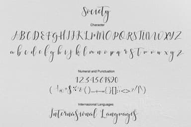 Society Font by Teweka — Script Handwritten Font — thumbnail 8