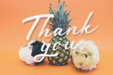 Society Font by maghrib by maghrib — Script Handwritten Font — thumbnail 5