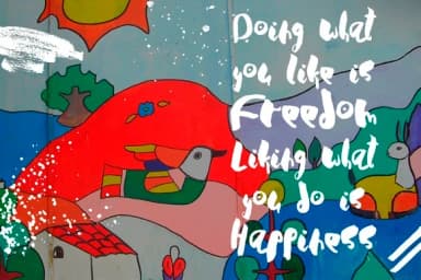 Sofia Font by Anastasiia Macaluso — Script Handwritten Font — thumbnail 5