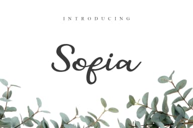 Sofia Font by Awanstudioz by Awanstudioz — Script Handwritten Font — thumbnail 1