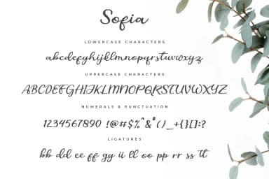 Sofia Font by Awanstudioz by Awanstudioz — Script Handwritten Font — thumbnail 5