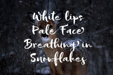 Sofie Font by JROH Creative — Script Handwritten Font — thumbnail 5