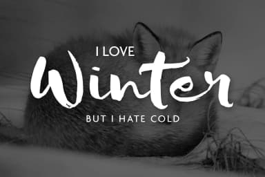 Sofie Font by JROH Creative — Script Handwritten Font — thumbnail 4