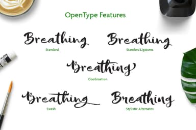 Sofie Font by JROH Creative — Script Handwritten Font — thumbnail 7