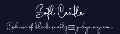 Soft Cantle by Din Studio — Script Handwritten Font — thumbnail 2