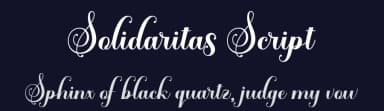 Solidaritas Script by Rastype — Script Handwritten Font — thumbnail 2