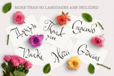 Solomiya Font by Red Ink — Script Handwritten Font — thumbnail 9