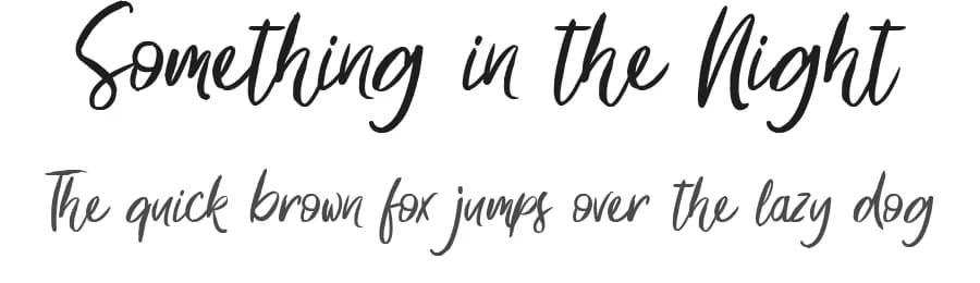 Something in the Night by Octotype  | Thomas Boucherie — Script Handwritten Font