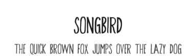 Songbird by Skyhaven Fonts — Script Handwritten Font — thumbnail 1
