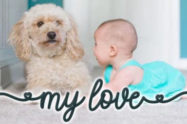 Soniya Font by Greentype — Script Handwritten Font — thumbnail 4