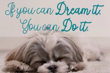 Soniya Font by Greentype — Script Handwritten Font — thumbnail 5