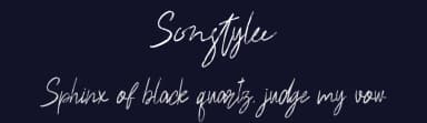 Sonstylee by Skiiller Studio — Script Handwritten Font — thumbnail 2