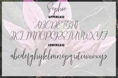 Sophie Font by Rudistudio — Script Handwritten Font — thumbnail 6