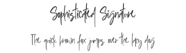 Sophisticated Signature by DM Letter Studio - Dimas Prasetyo — Script Handwritten Font — thumbnail 1