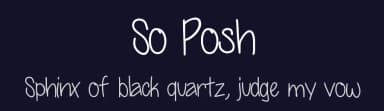 So Posh by Vanessa Bays — Script Handwritten Font — thumbnail 2