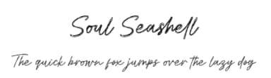 Soul Seashell by Beautypes — Script Handwritten Font — thumbnail 1