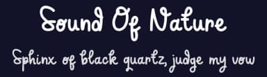 Sound Of Nature by Tokopress — Script Handwritten Font — thumbnail 2